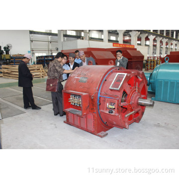 500mw Vertical Water Turbine Generator Prices